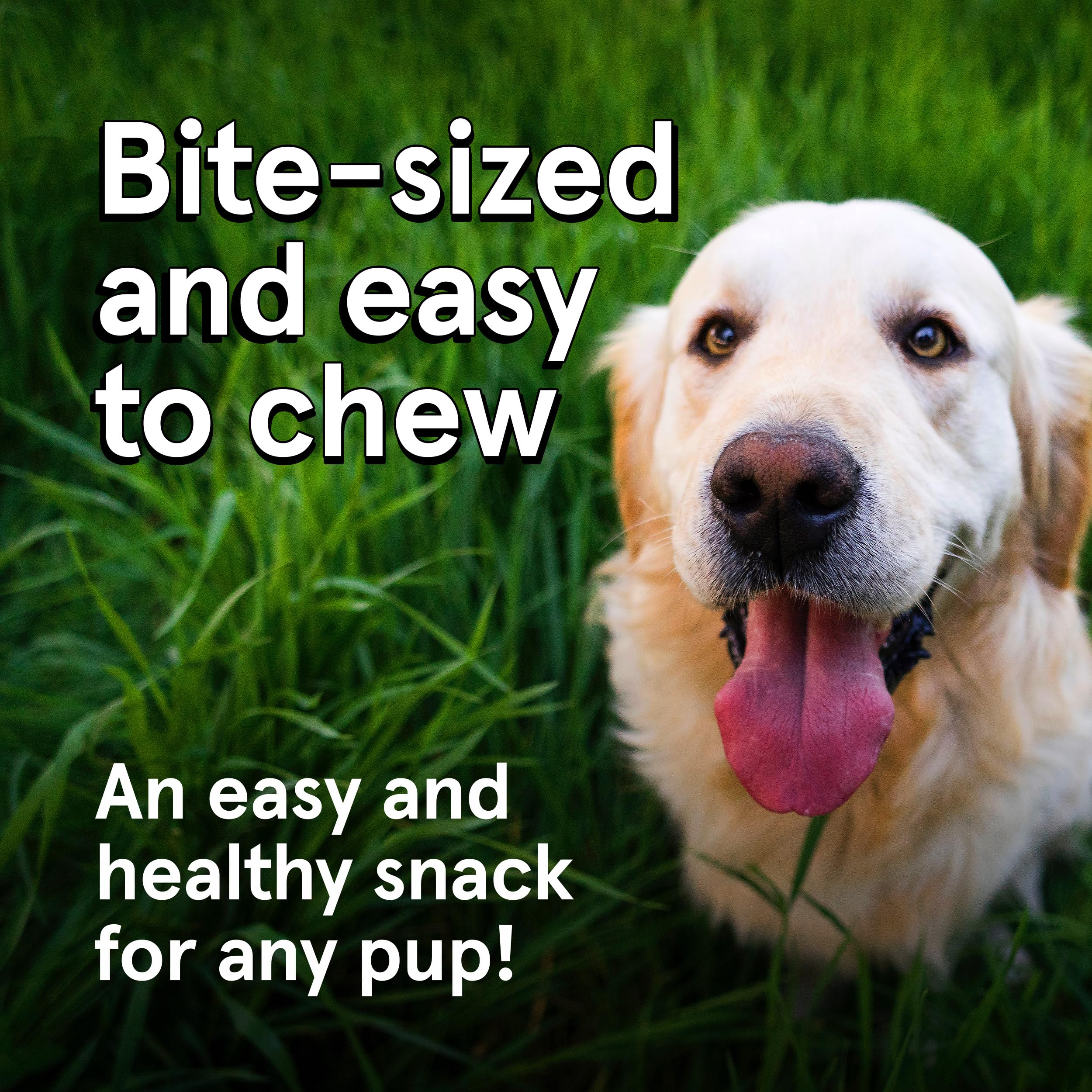 Real Meat Dog Treats - Two 12oz Bag of Bite-Sized Air-Dried Venison & Chicken Jerky for Dogs - Grain-Free Jerky Treats with 95%